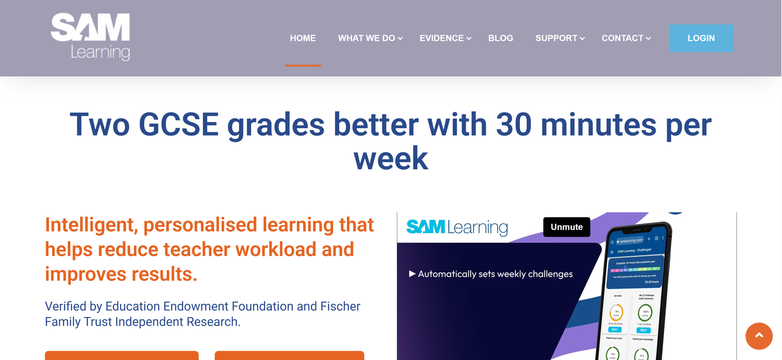 SAM Learning