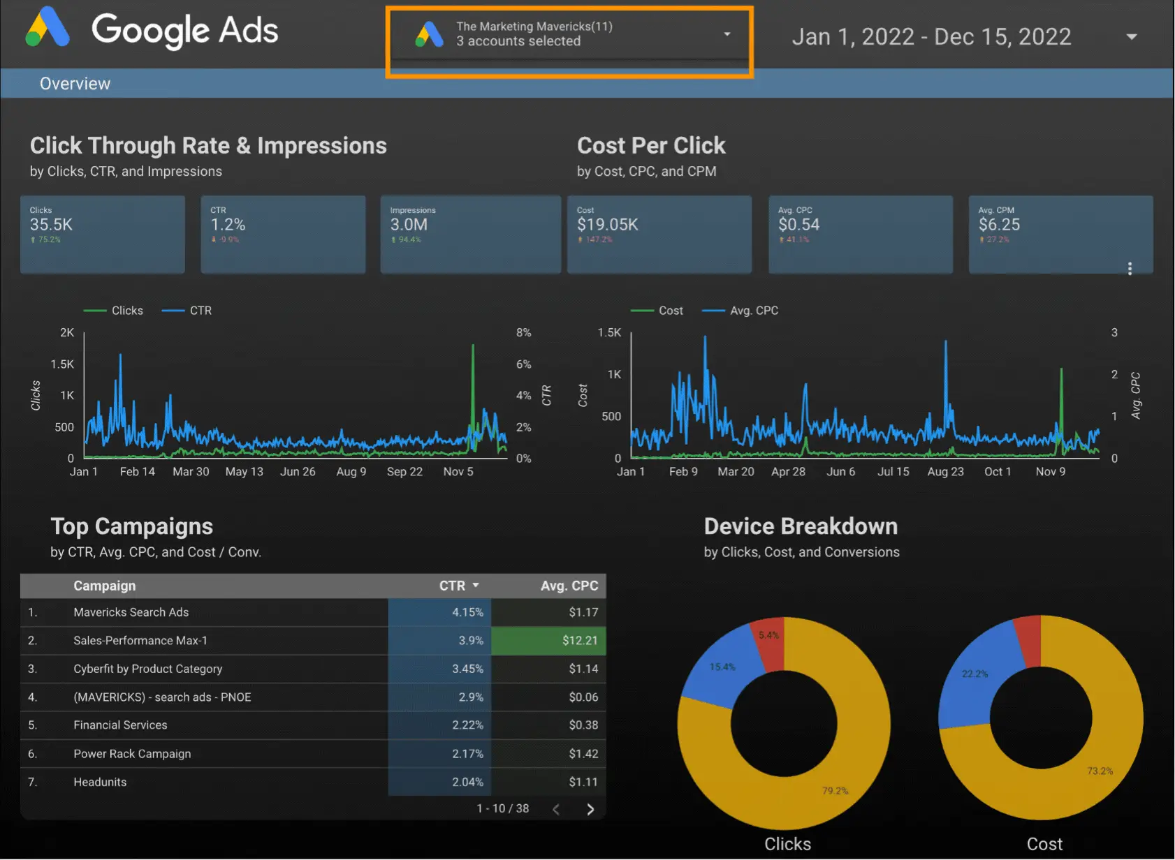 Google Ads Campaign Performance